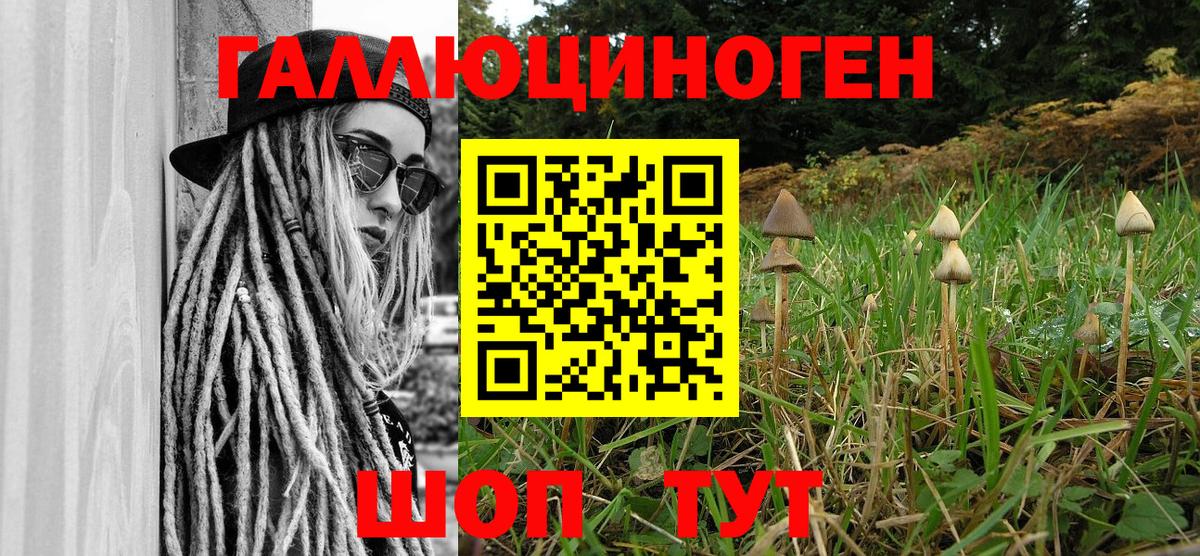 Псилоцибиновые грибы мухоморы Краснознаменск