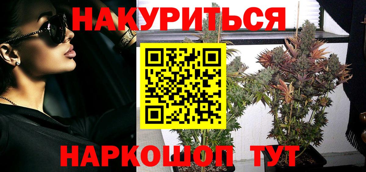 Конопля OG Kush Краснознаменск